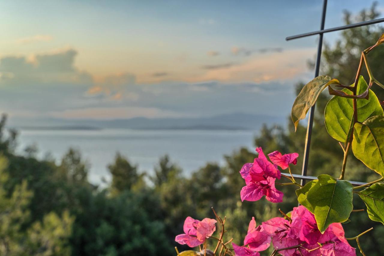 Holiday House Sunset Haven Estate Sutivan Buitenkant foto